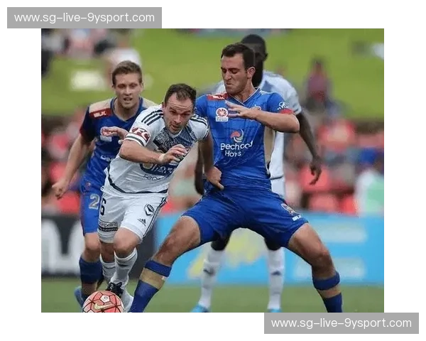 墨尔本城与惠灵顿：A-League的璀璨双星，足球之夜的激情碰撞